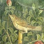 Fresco found on Pompeii