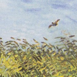 Wheat Field with a Lark - V. van Gogh