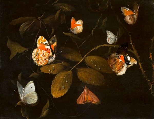 Six Butterflies and a Moth on a Rose Branch - William Gouw Ferguson