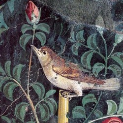 Frescos de la Casa del braçalet d'or, Pompeia (detall)