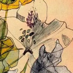 Floral motive 12 – Charles Rennie Mackintosh